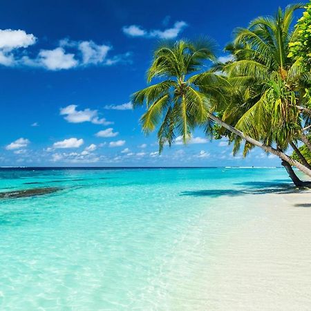 Hotel Equa Reef Maldives Addu City Exterior foto