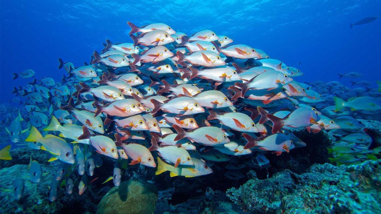 Hotel Equa Reef Maldives Addu City Exterior foto